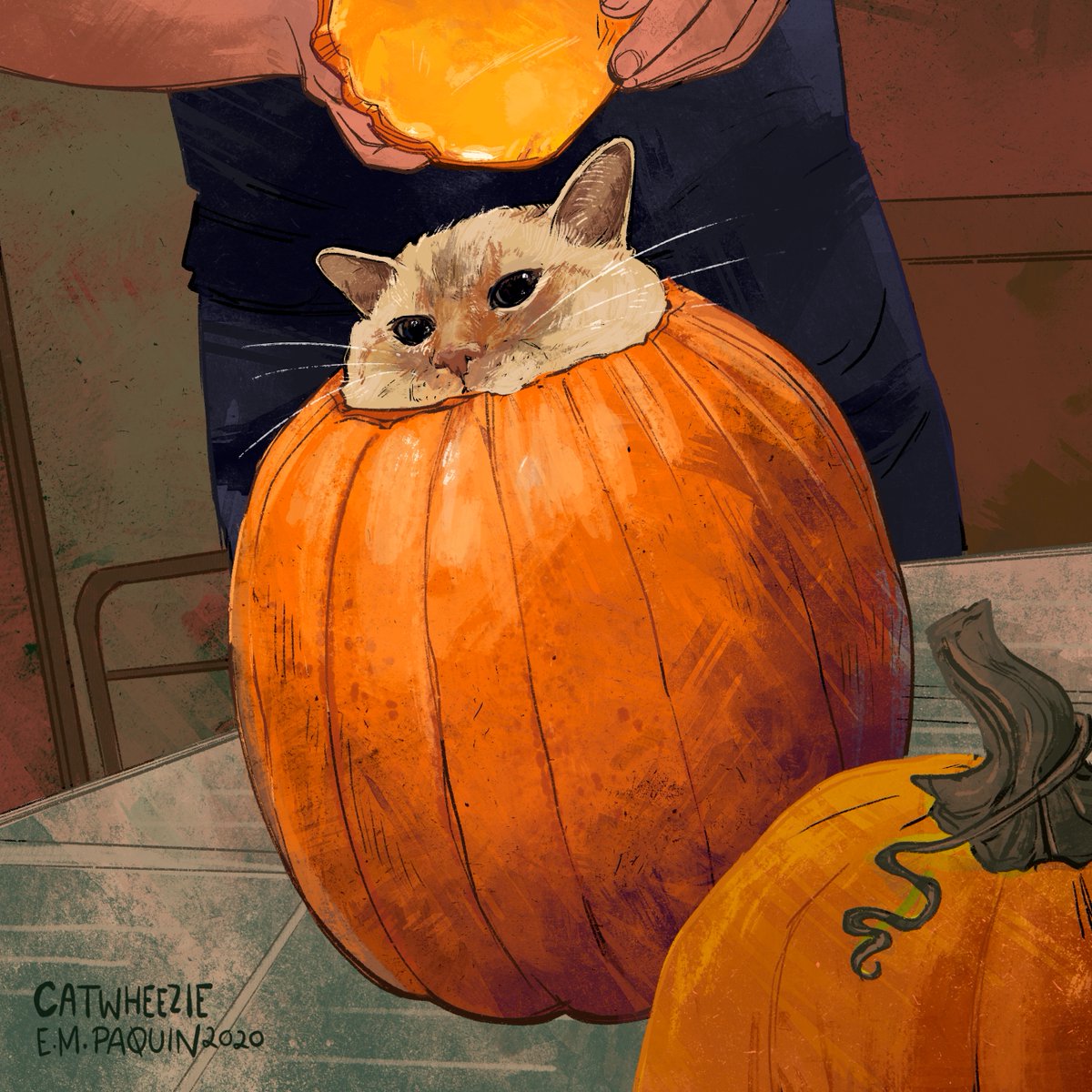 catwheezie's tweet photo. it's almost time... https://t.co/PyHpCCV8BB