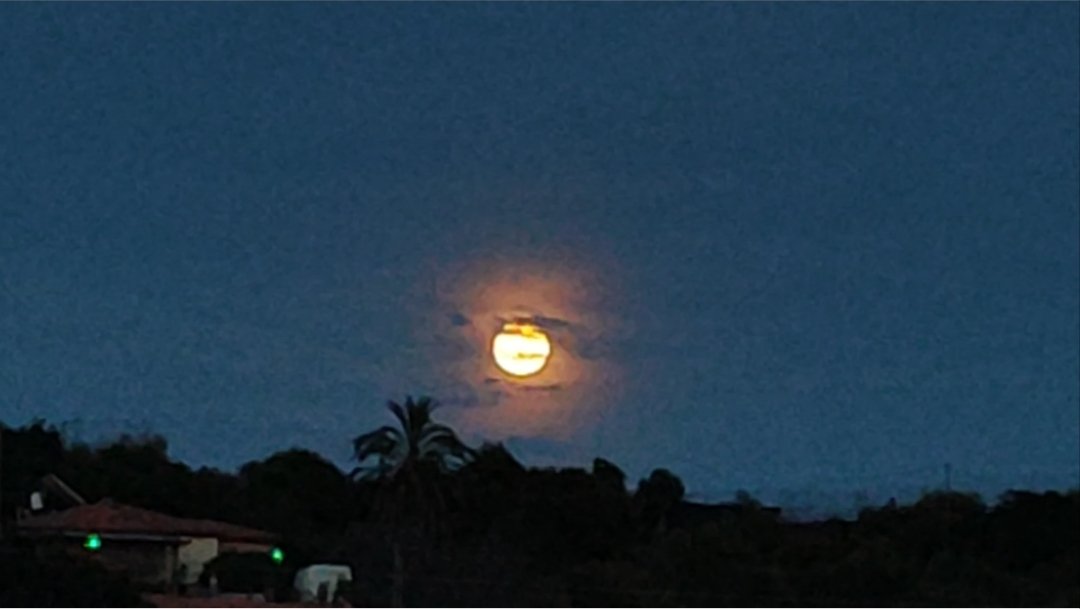 IslaMilPalabras's tweet photo. La luna llena de la cosecha se ve preciosa hoy. La foto no le hace justicia. https://t.co/VuPt5wFrya
