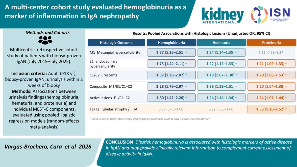 edgarvlermamd's tweet photo. Dipstick hemoglobinuria is associated with histologic markers of active disease in #IgAN and may provide clinically relevant information to complement current assessment of disease activity in #IgAN ca. 2026 from @Kidney_Int @LadanZand @fervenzaf
#Nephpearls #RKDSummit
๐๐ผ https://t.co/NtxaDs0YtT