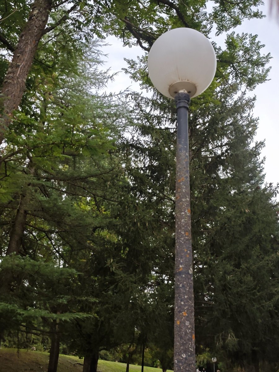 KatySnchez's tweet photo. Farola de jardín de tipo globo o esfera  blanca  ubicada en una zona arbolada. #farola #hacerfotos #jardines https://t.co/7UKlbV3VgN