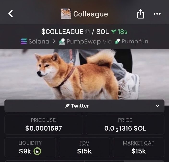 BullishCalls_'s tweet photo. VIP Early Call — $COLLEAGE at $15k MCAP!📊
Only My TG fam gets this first 👀
Sniped early? Don’t blink — momentum loading 🚀
CA: 8nYn8uhfJxem48hC8daXA36GDoG7srezMbMyuiCgpump
#Solana #Memecoin  #AlphaCalls #DEX https://t.co/QZV0NzOpC7