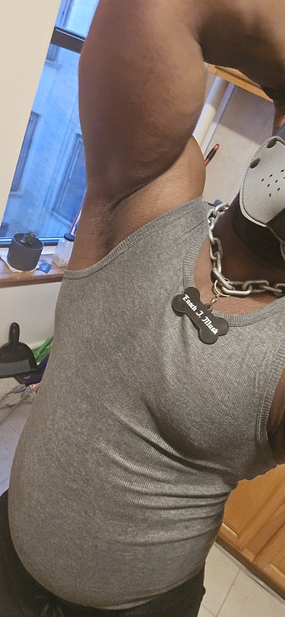 Enoch_Musclepup's tweet photo. @freaktatman Bork https://t.co/QeRWWwwZil