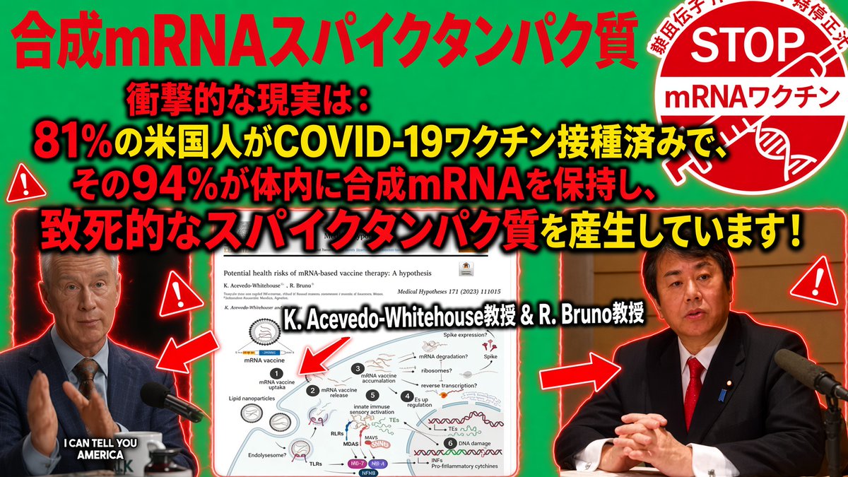 kharaguchi's tweet photo. 衝撃的な現実：アメリカ人の81%がCOVID-19ワクチン接種済みで、その94%が体内に合成mRNAを持ち、潜在的に致死的なスパイクタンパク質を産生しています。抗スパイク抗体ライブラリが完全に中和しない限り、スパイクは組織損傷を引き起こし、慢性疾患につながります。不自然で、安全でない。Marissa Streit、Prager University提供。@marissastreit @prageru @McCulloughFund
＠3w2xtpZnmsmzWIn