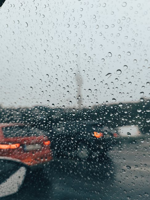DenisExMaciaktZ's tweet photo. Charlotte Skylar David Adrian unforgettable Smiles laughs and vibes paul ayuso🤏 https://t.co/jfZFeZfXDS