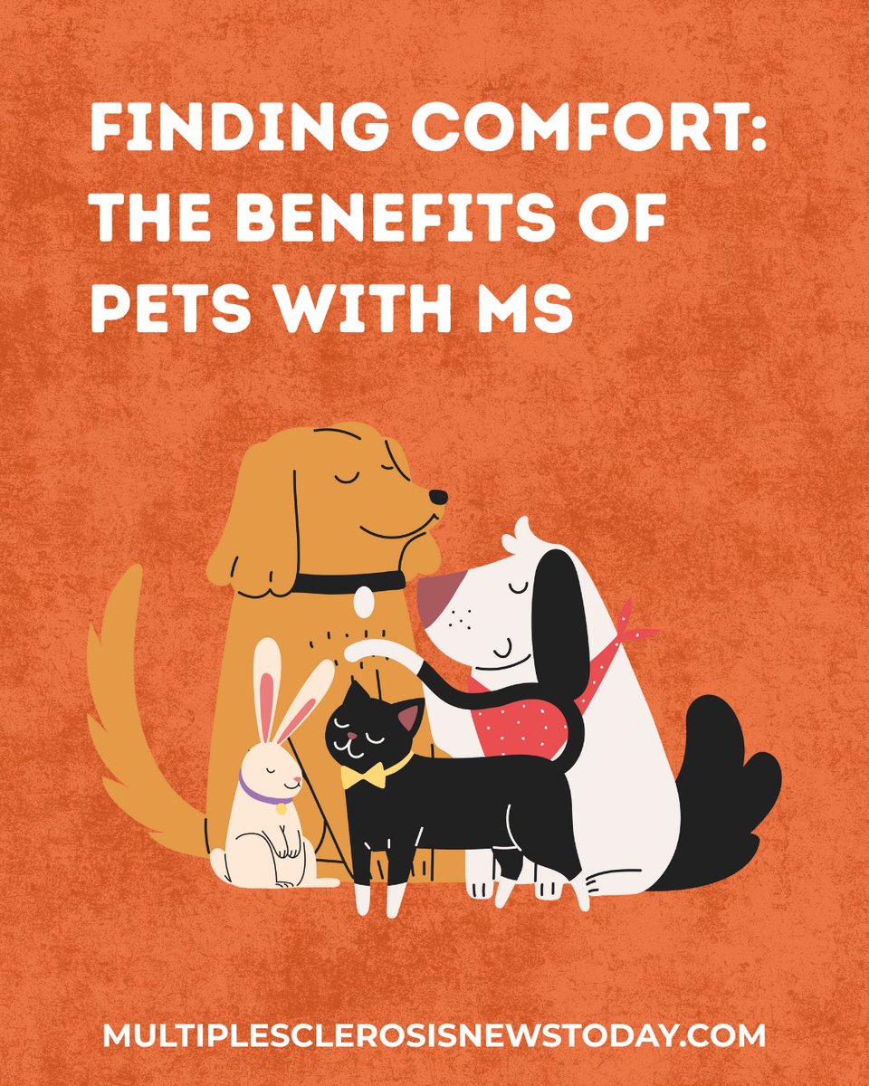 MSNewsToday's tweet photo. The benefits of cats in MS life: https://t.co/t5tgjmULHg
#MSAwareness #ThisIsMS #MSLife #MSCommunity #MSSupport #MSFighter #MSNewsToday #Bionews https://t.co/t4xUzIcqAT