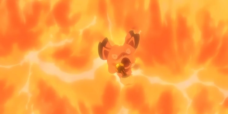 pokebeach's tweet photo. These were more genuine. 😭 https://t.co/dA6xFPjV1l