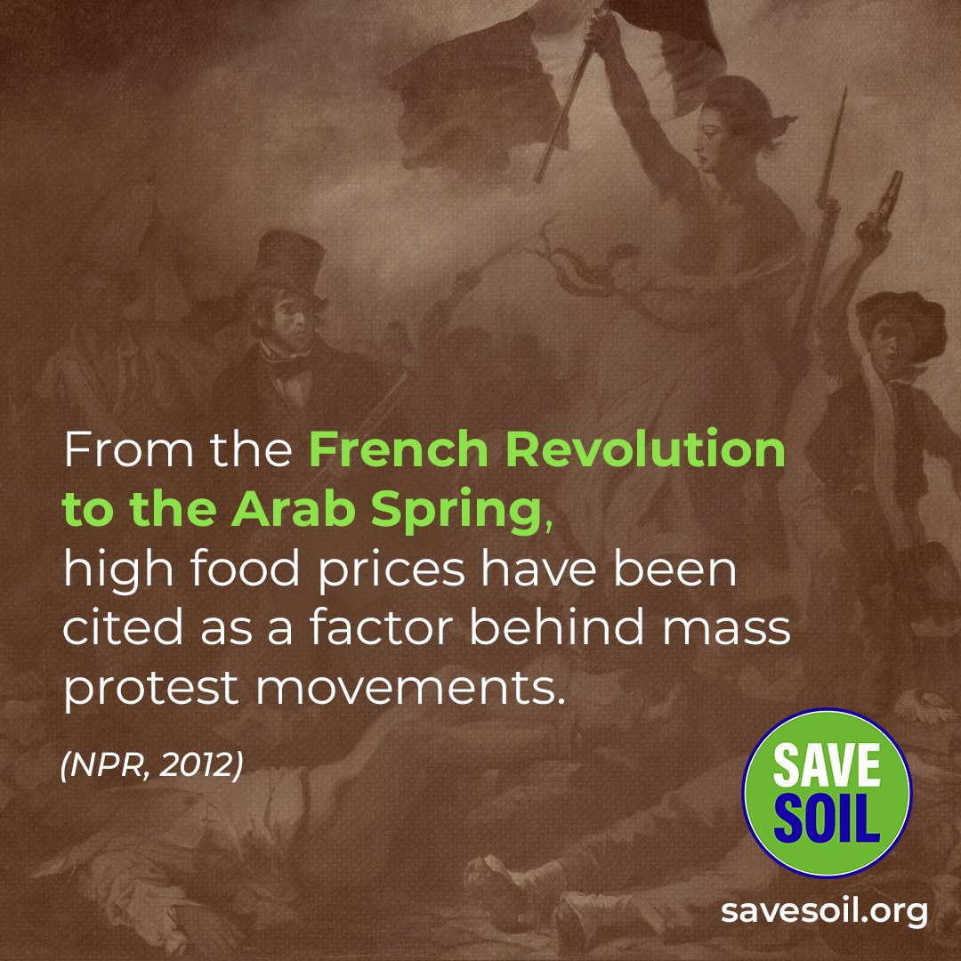GuzelKham's tweet photo. Let's not reach that point, when battles are fought over food!
Life is too beautiful and doesn't require much to keep it that way 🌱

#SaveSoil #ConsciousPlanet #GenerationRestoration #TreebasedAgriculture #NoSoilNoFood https://t.co/GxFJIDqXOJ