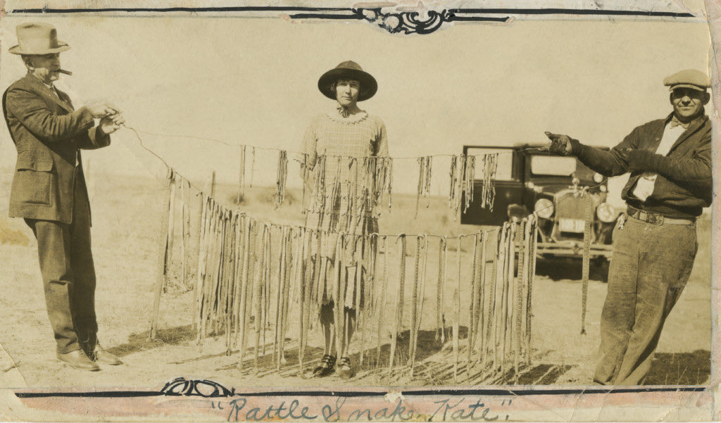 100YearsAgoLive's tweet photo. Katherine Slaughterback, a dryland prairie homesteader on the Colorado plains, kills 140 rattlesnakes, allegedly in self-defense. 

Kate plans to use them to make a dress. https://t.co/CV3okY265M