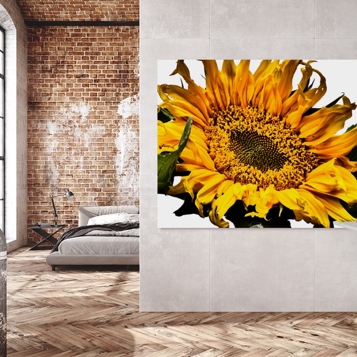abigailwrightgy's tweet photo. Brighten your morning with golden sunshine. See how “Creative Sunflower” transforms a modern bathroom with vibrant yellow petals and lush green leaves. Watch its journey from photo to AI animation and canvas print on my YouTube channel. Refresh https://t.co/S1GEQqWIUW