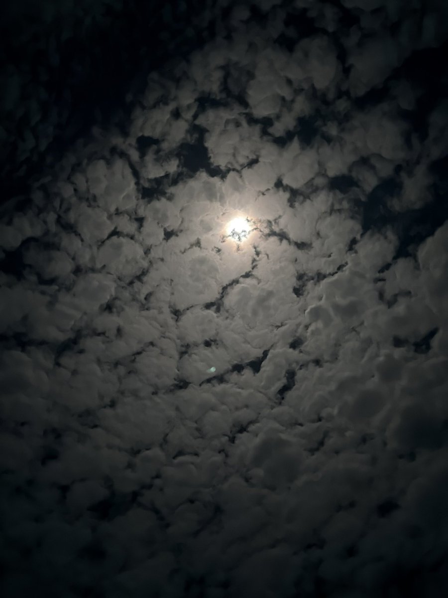 naveencule's tweet photo. ☁️ https://t.co/jlhjfpZs0M