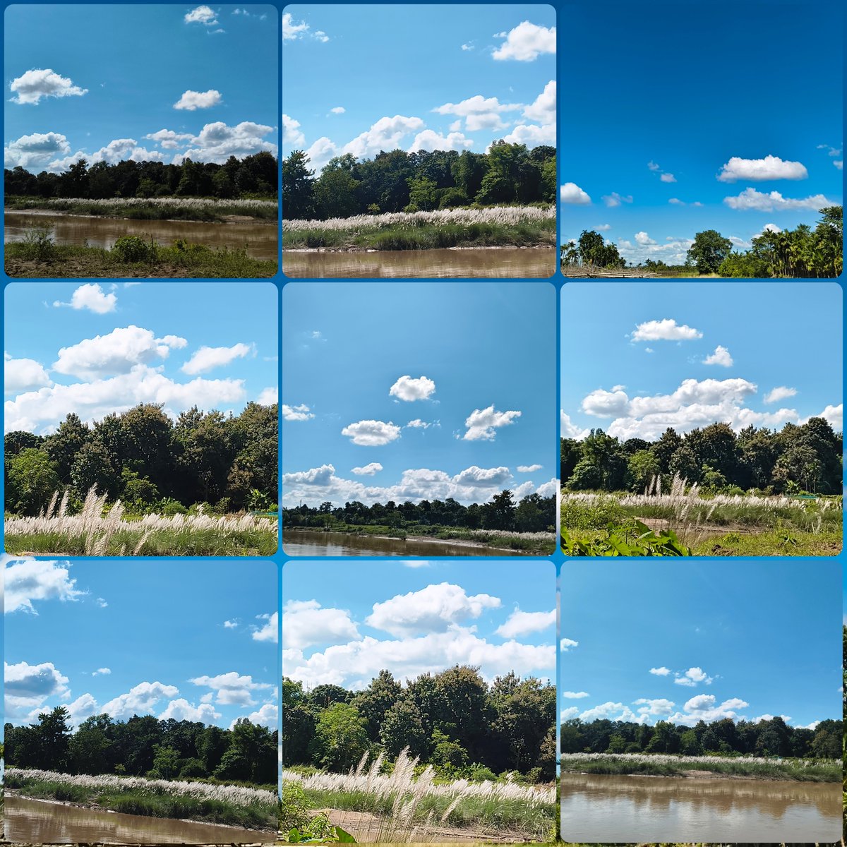 SanjitDatta194's tweet photo. It is Noon. It is #Autumn's noon. Find the beauty here at our #Chebri, #Khowai, #Tripura,Today, on 26/09/2026
#nature #narural
#BeautyOfNature #NaturalBeauty
#NaturePhotography #NatureBeauty
#naturelovers #NatureVideography
#Catkins #Flowers #FlowersBeauty
#NatureBeautiful https://t.co/AIbAYbXGLp