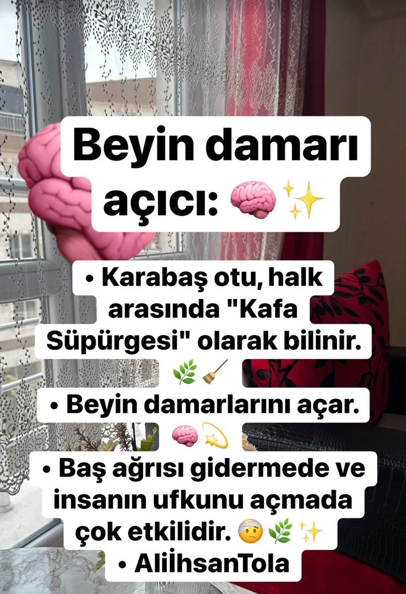 Recepsamuncu1's tweet photo. KADİM BİLGİLERİMİZDEN,,,

Beyin damarı açıcı: 🧠✨
 * Karabaş otu, halk arasında "Kafa Süpürgesi" olarak bilinir. 🌿🧹
 * Beyin damarlarını açar. 🧠💫
 * Baş ağrısı gidermede ve insanın ufkunu açmada çok etkilidir. 🤕🌿✨
 * AliİhsanTola https://t.co/MBDPmyoy2J