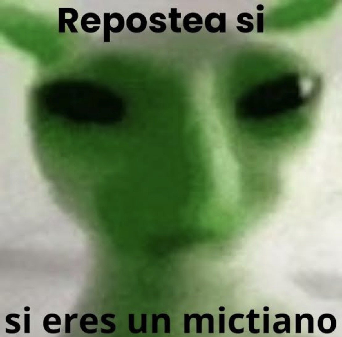 Santiagonv12's tweet photo. @Mictia00 Fuerzas Mictia, no dejes que nadie te haga dudar de lo que vales ☝🏻 https://t.co/HCaZsTf8Zx