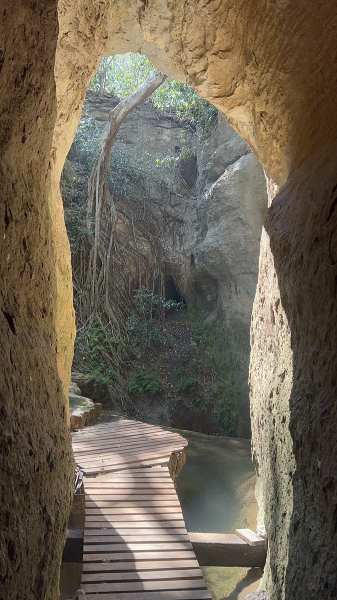 JessiicaXavierr's tweet photo. Moçambique é batota 😍
São praias, savanas, florestas, cachoeiras e ainda essa beleza de grutas🙌🤍
Amo beleza desse país https://t.co/FJMTff9beF