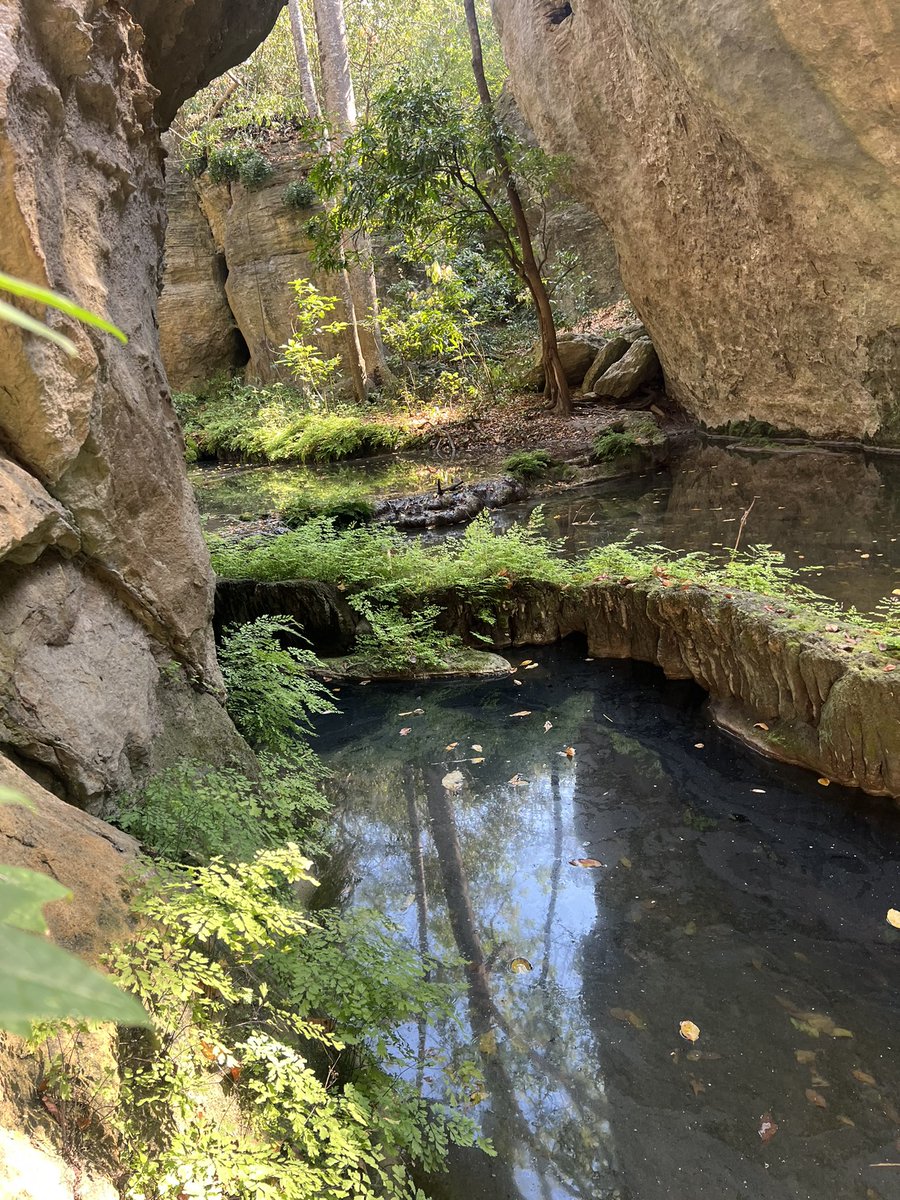 JessiicaXavierr's tweet photo. Moçambique é batota 😍
São praias, savanas, florestas, cachoeiras e ainda essa beleza de grutas🙌🤍
Amo beleza desse país https://t.co/FJMTff9beF