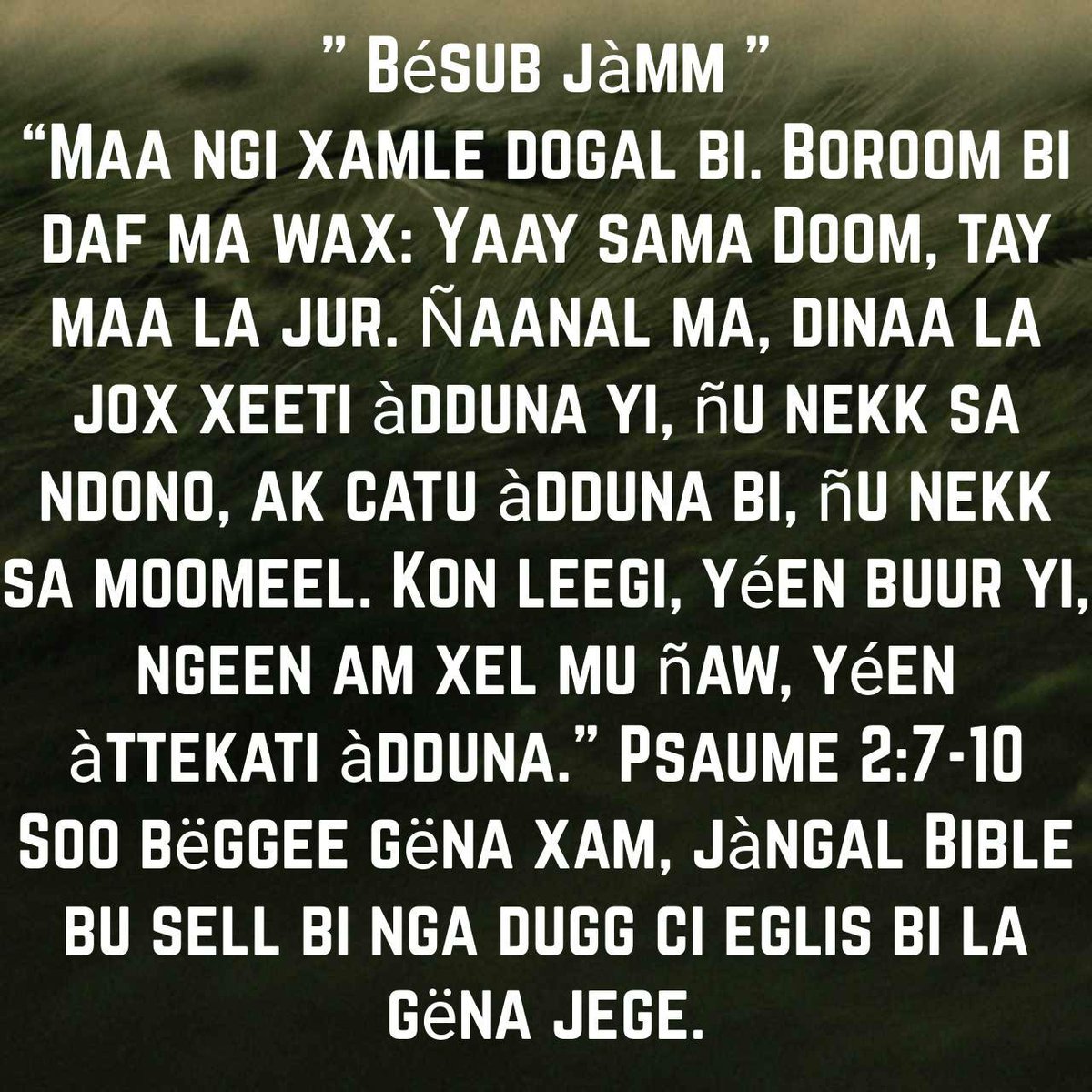 speterjason's tweet photo. Njàngalem Bible bu sell bi:- https://t.co/pySswwrBlD