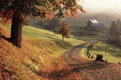 BiteThroughBone's tweet photo. 🍂🎃 https://t.co/xNwDHsFMsp