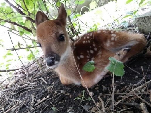 maximiffy's tweet photo. sam wilson touchin da grass https://t.co/48X7vCIaqY