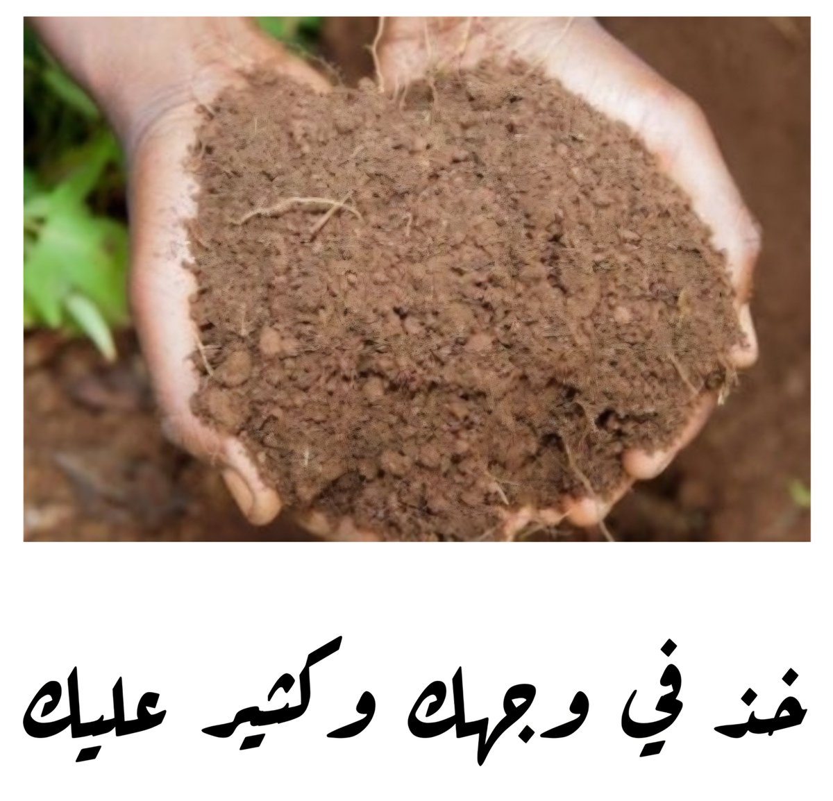 bisha5089's tweet photo. @Ibrahimdardeer4 @MusLImforever09 @Shahm1400 @k8gaPxJ8rTDxbKc https://t.co/3oGDBKJN96
