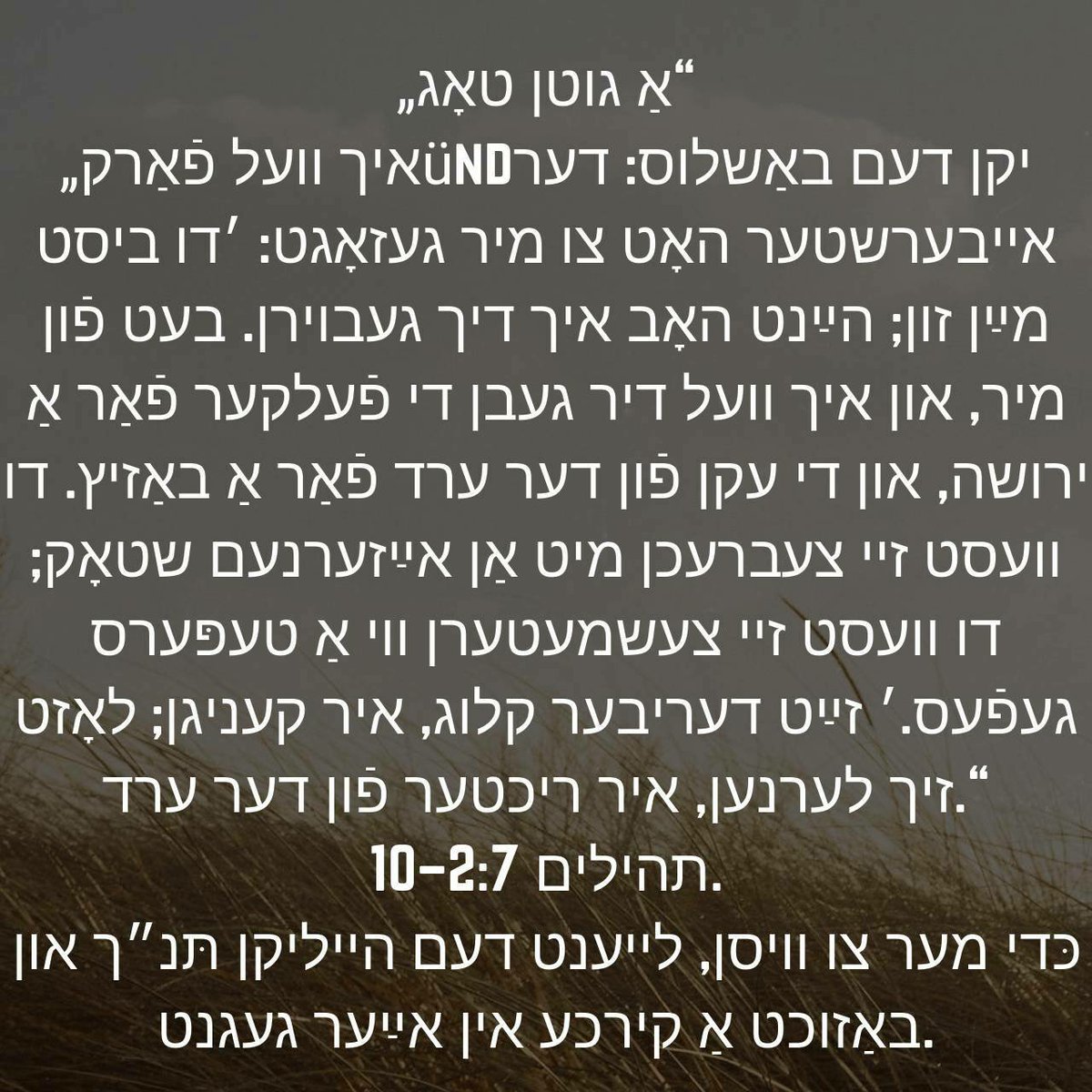 speterjason's tweet photo. די הייליקע ביבלישע לערנונגען: — https://t.co/E7I5lm9gbF