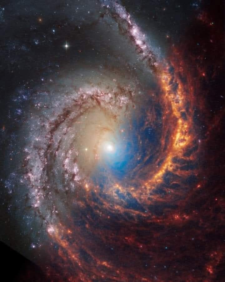 konstructivizm's tweet photo. A single spiral is split in two realities. Across the diagonal, NGC 1566 becomes a study in opposites: Hubble’s ultraviolet and visible light at upper left, Webb’s near- and mid-infrared at lower right.

Where Hubble sees darkness, Webb sees fire. Dust that swallows starlight in Hubble’s view glows instead in Webb’s infrared, turning hidden lanes into molten orange and red. The same spiral arms that look veiled and shadowed on one side blaze with structure on the other—an inverse of light and night.

Together the telescopes map the full cycle of star birth: the dust that hides it, and the dust that reveals it.

Credits: NASA, ESA, CSA, STScI, Janice Lee (STScI), Thomas Williams (Oxford), Rupali Chandar (UToledo), Daniela Calzetti (UMass), PHANGS Team