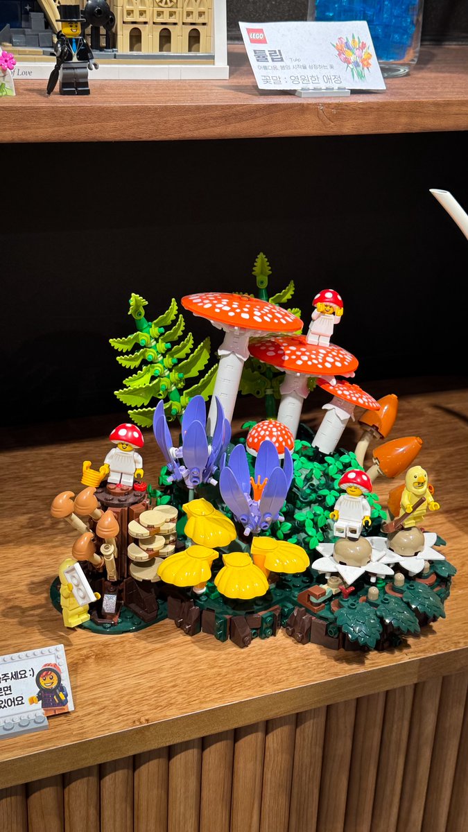 YoungKidult's tweet photo. 잠실 레고 스토어

이거 정말 마음에든다..
이렇게 거실이나 방에 둬도 괜찮을듯!

#lego https://t.co/i1rXxlseks