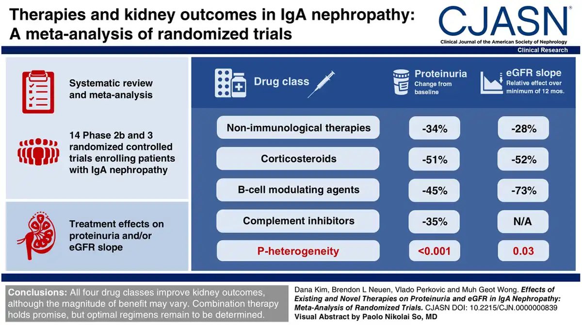 edgarvlermamd's tweet photo. Not all #IgAN therapies are created equal
#Nephpearls #RKDSummit

👉🏼 https://t.co/LcVHVrLlT9 https://t.co/ZNVCy4y85L