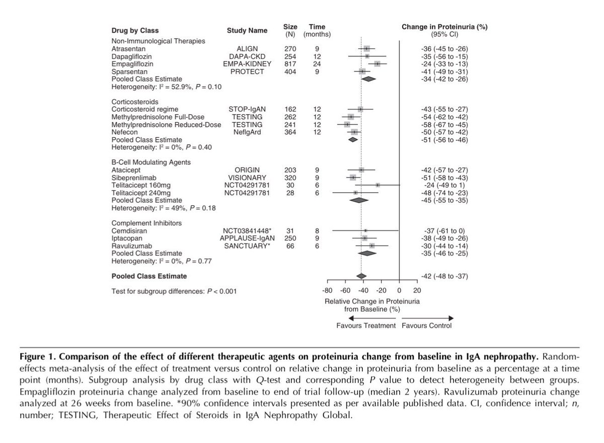 edgarvlermamd's tweet photo. Not all #IgAN therapies are created equal
#Nephpearls #RKDSummit

👉🏼 https://t.co/LcVHVrLlT9 https://t.co/ZNVCy4y85L