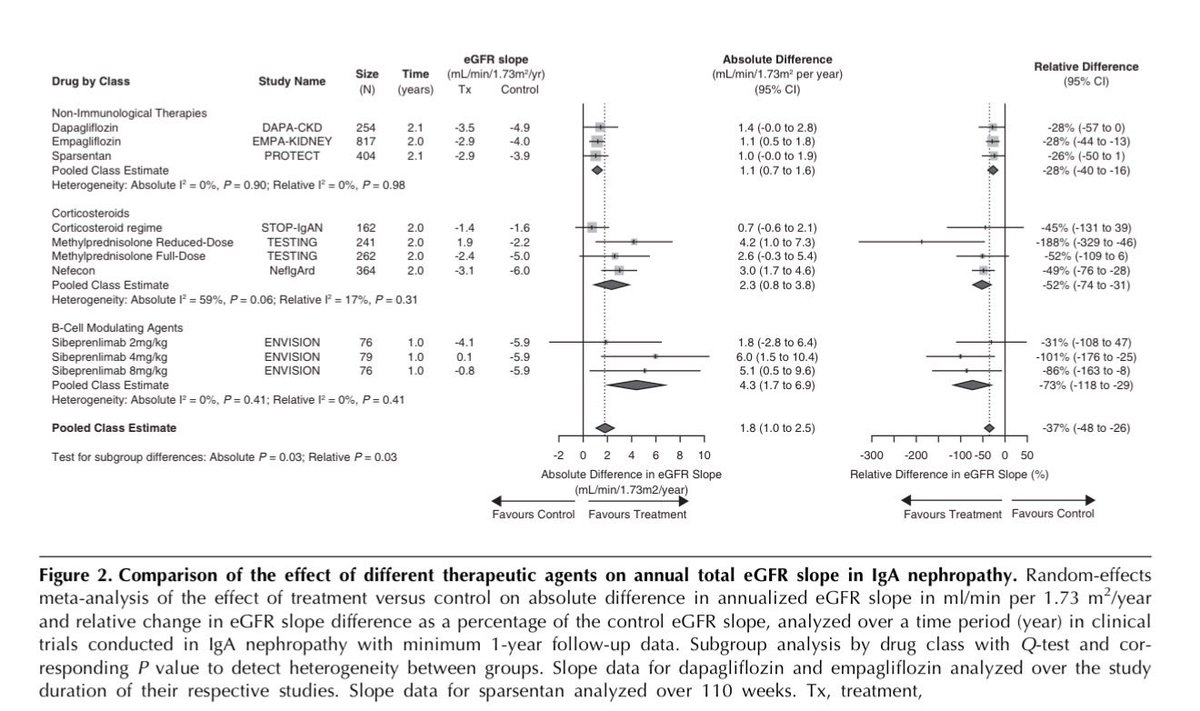 edgarvlermamd's tweet photo. Not all #IgAN therapies are created equal
#Nephpearls #RKDSummit

👉🏼 https://t.co/LcVHVrLlT9 https://t.co/ZNVCy4y85L