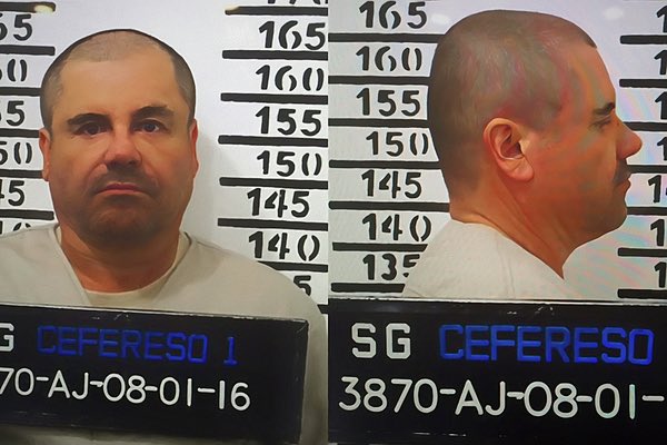 steelymang's tweet photo. @TheYcOrg @AngloGroypr Nick’s cranial morphology is more similar to El Chapo than to any of the examples you provided. His snub nose and weak bone structure are dead giveaways that he isn’t 100% white 

Look at someone like Gordon Ramsey and tell me they’re still the same phenotype https://t.co/sa3F3wl9tM