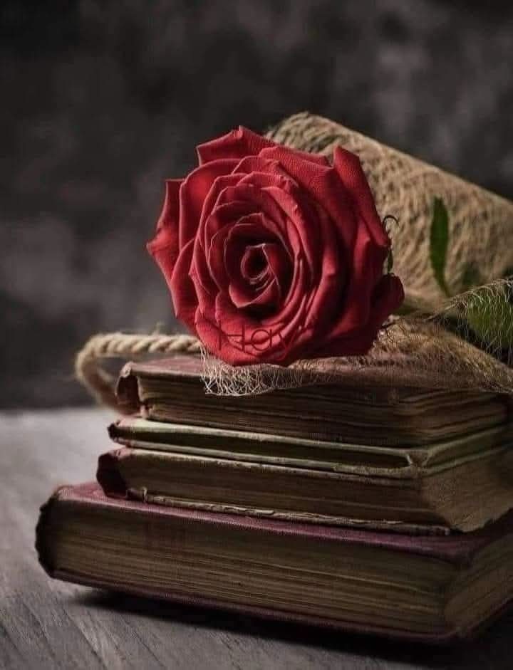 abdullahgokhan's tweet photo. Her zamanki gibi bir gündü aslında.
Ben "günaydın hayat" diye, gülümseyerek, sevinçle uyanmayı seçtim bugün de...

Dün birilerine kızdım yine, "amann yalan dünya" deyip geçtim.

Canım sevilmek istedi, bir elimle diğer elimi tuttum. https://t.co/4TiJfVP6jH