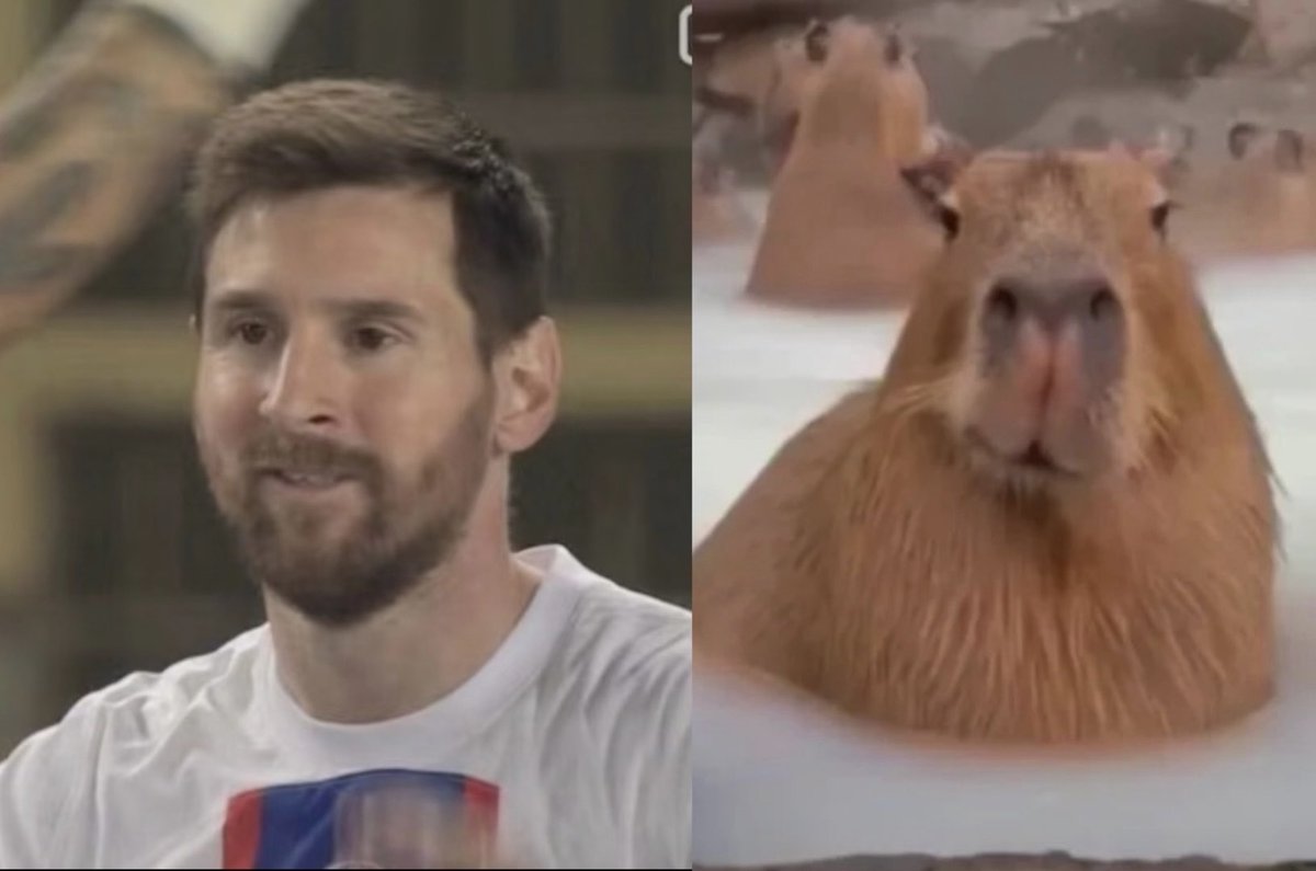 Lotushua14's tweet photo. spot the difference https://t.co/fMhyA9IYiN