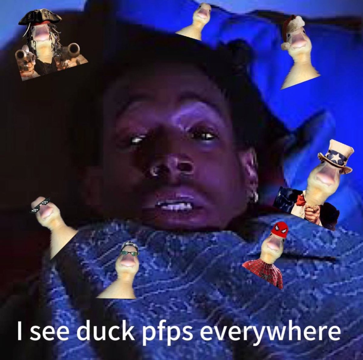 harold_onsol's tweet photo. Everywhere you look there's a duck....and it's only going to multiply more!!! https://t.co/fgcLzWvtn5