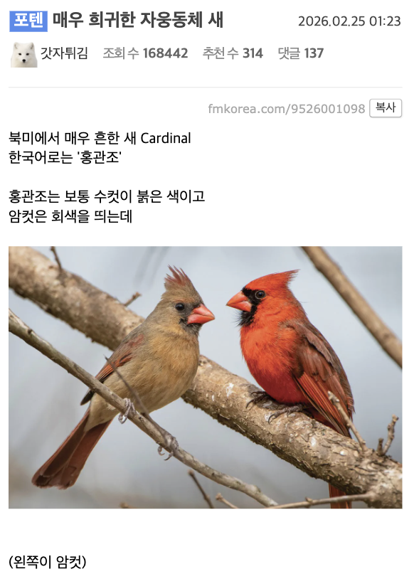laterinfo_'s tweet photo. 아니 진짜 아수라백작같이 생겼네... https://t.co/10OwozOUHQ