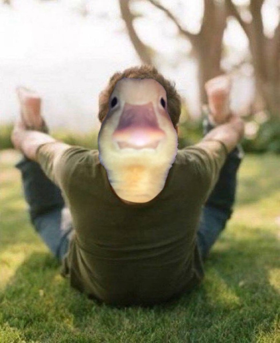 harold_onsol's tweet photo. Relax, try some duck yoga

my favorite position is the flying duck https://t.co/RKREjs1ESx