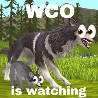 guroeater's tweet photo. #wildcraftwtt https://t.co/gQLi5ftcRb