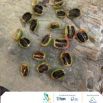 Photo by ACUGOLFO (@acugolfo)