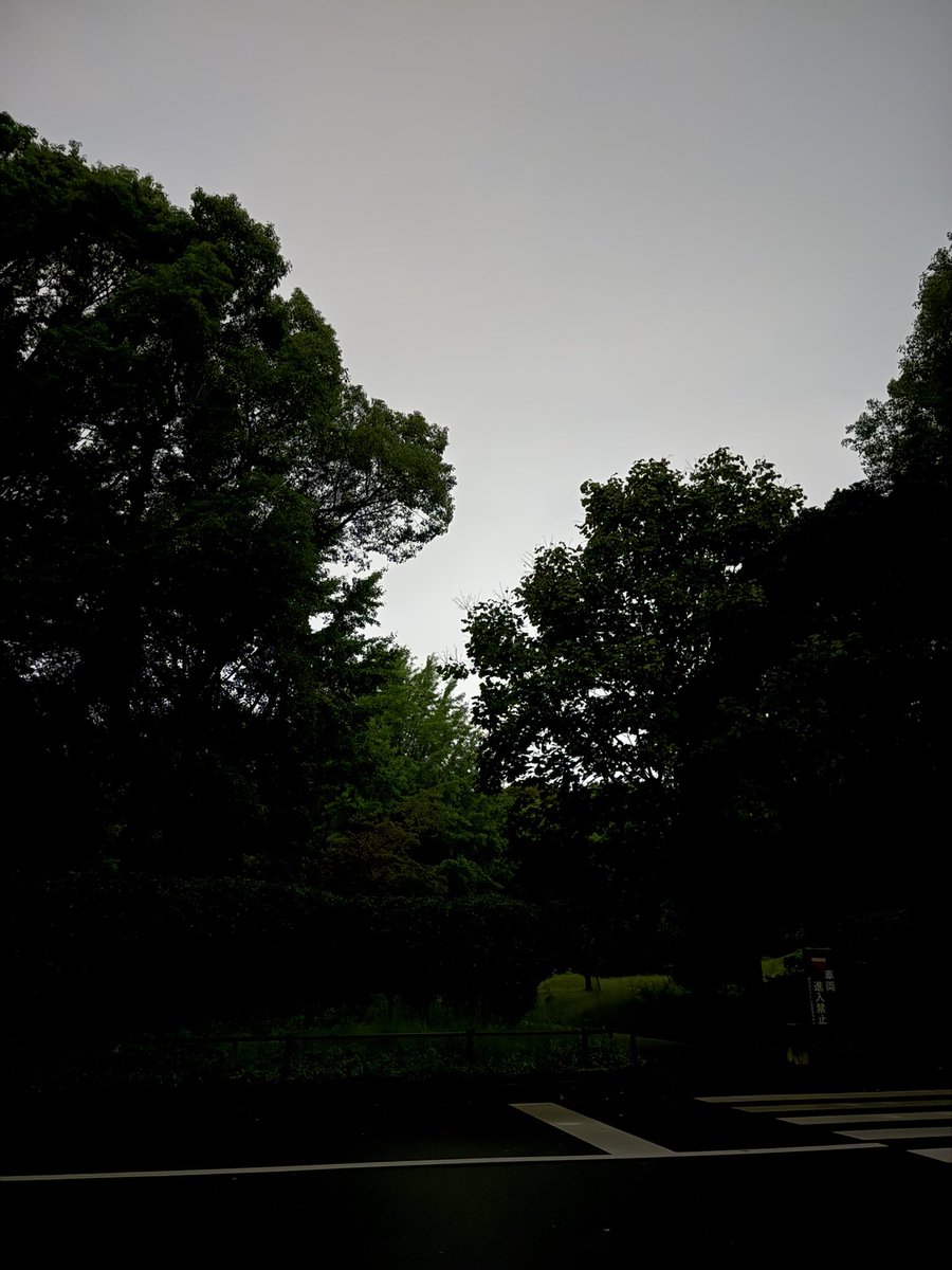 ap19pp305's tweet photo. おはようございます☔️
3:47時点で65番目くらい…
雨もパラついて気温も低めなのでいらっしゃる方はご注意下さい。
#スーフェス #sf95 #superfestival https://t.co/TrIbzke47e