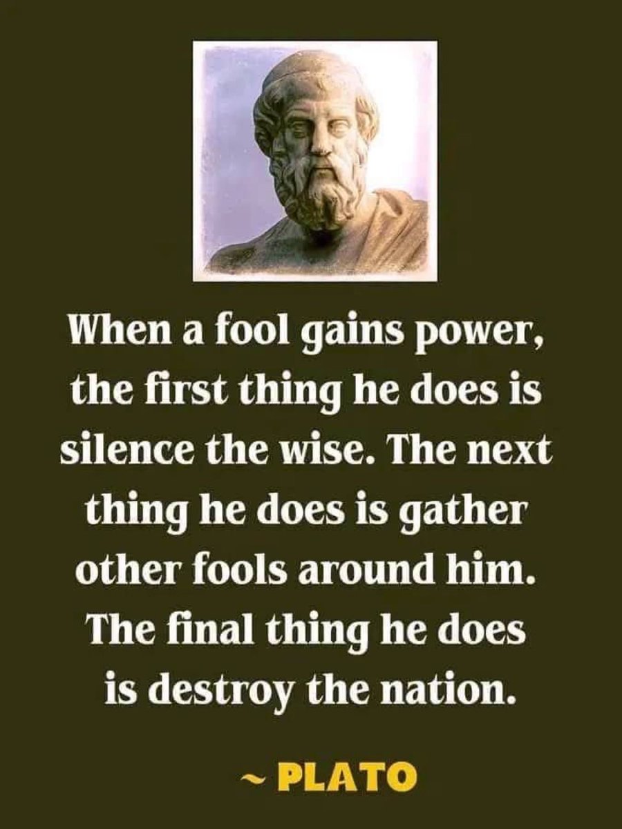 mysecularnation's tweet photo. @Tejasvi_Surya https://t.co/NNFQKEmVRw