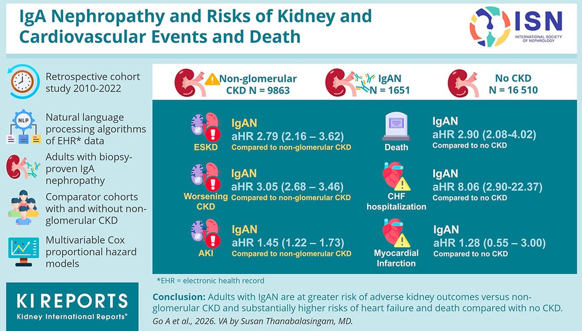 edgarvlermamd's tweet photo. Adults with #IgAN are at greater risk of adverse kidney outcomes versus nonglomerular CKD and substantially higher risks of heart failure and death compared with no CKD ca. 2026 from @KIReports
#Nephpearls #RKDSummit
๐๐ผ https://t.co/ZcpIXW2TvQ https://t.co/HQT7a8eQ42