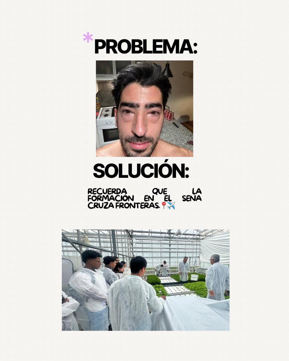 SENAComunica's tweet photo. Ellos se atrevieron a dar el siguiente paso. ✈️🇳🇱
Hoy, un grupo de aprendices del SENA está en Países Bajos aprendiendo sobre producción hortícola, innovación y nuevas tecnologías para el campo.

¿Y tú, ya estás listo para vivir una experiencia internacional? 🌎

Pregunta por las ofertas de movilidad.

#MovilidadSENA