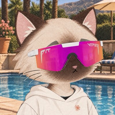curtislepore's tweet photo. New pfp. Happy Caturday #stonkcats https://t.co/S5Jv2QvDXw