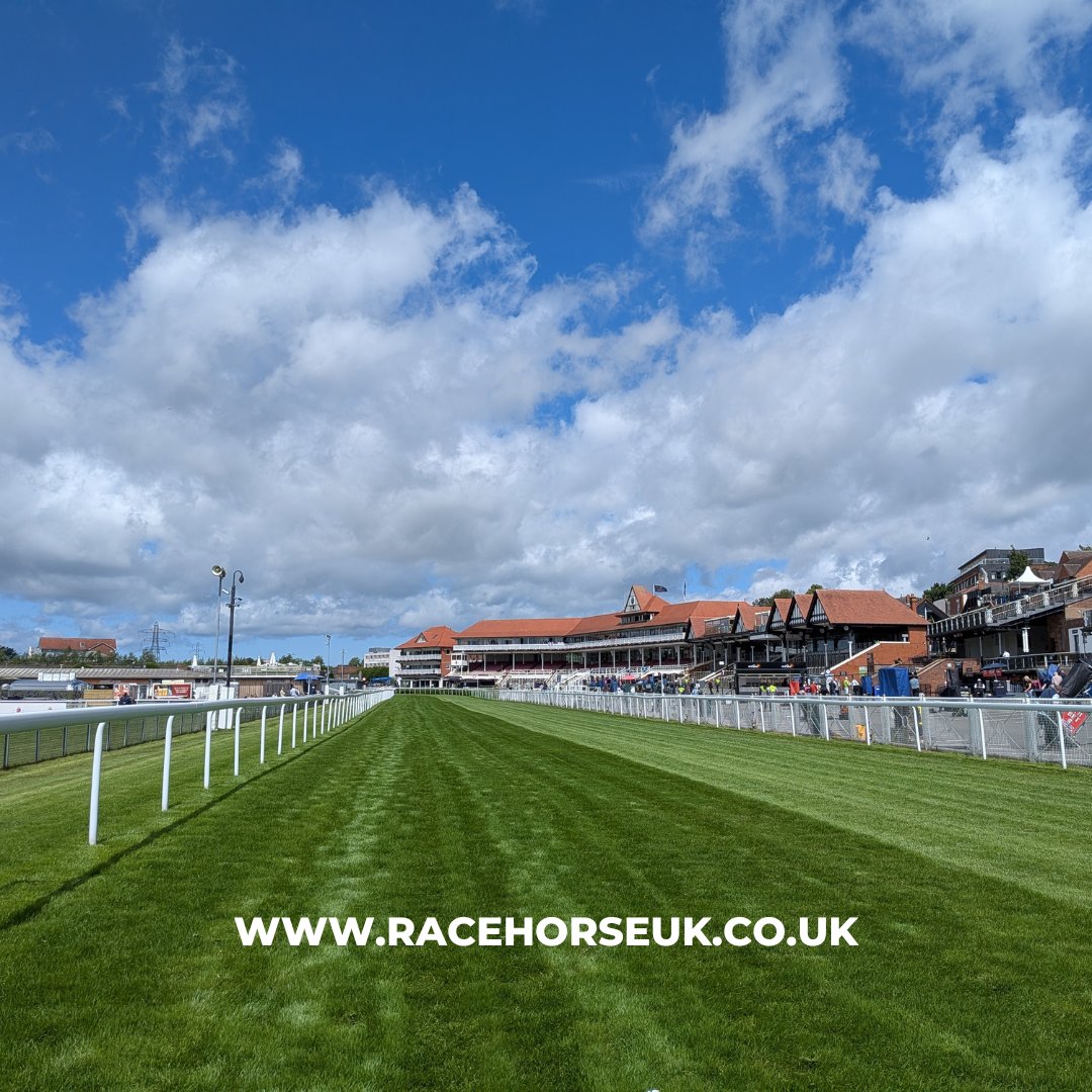 Racehorse_UK's tweet photo. The view every race day deserves. 🏇 With 59 racecourses across Britain, there is always a course and a race within reach.
Leading The Way — Racehorse UK.
https://t.co/9VtQi6o3TI
#RaceDay #ThoroughbredRacing #HorseRacing #BritishRacing #RacingLife #RaceCourse https://t.co/6ULMCadHla