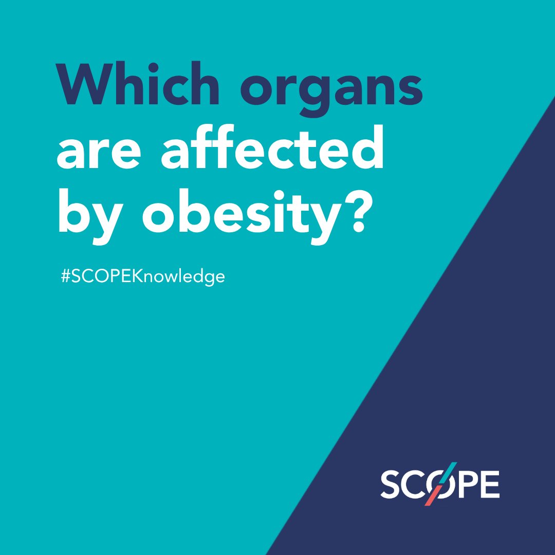 WorldObesity's tweet photo. Which organs are affected by obesity? It's more than most people expect, obesity's health impact reaches far beyond weight alone.
Test your knowledge and learn more with SCOPE E-Learning: https://t.co/M9FOF07rbP
#SCOPECert #SCOPELearn #HealthEducation https://t.co/TBzfEw8Snu