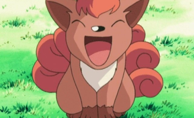 acervo_vulpix's tweet photo. boa tarde queridos!! 
vambora aproveitar o dia e esse solzão depois de tantos dias nublados e chuvosos https://t.co/WtijGqTBXF