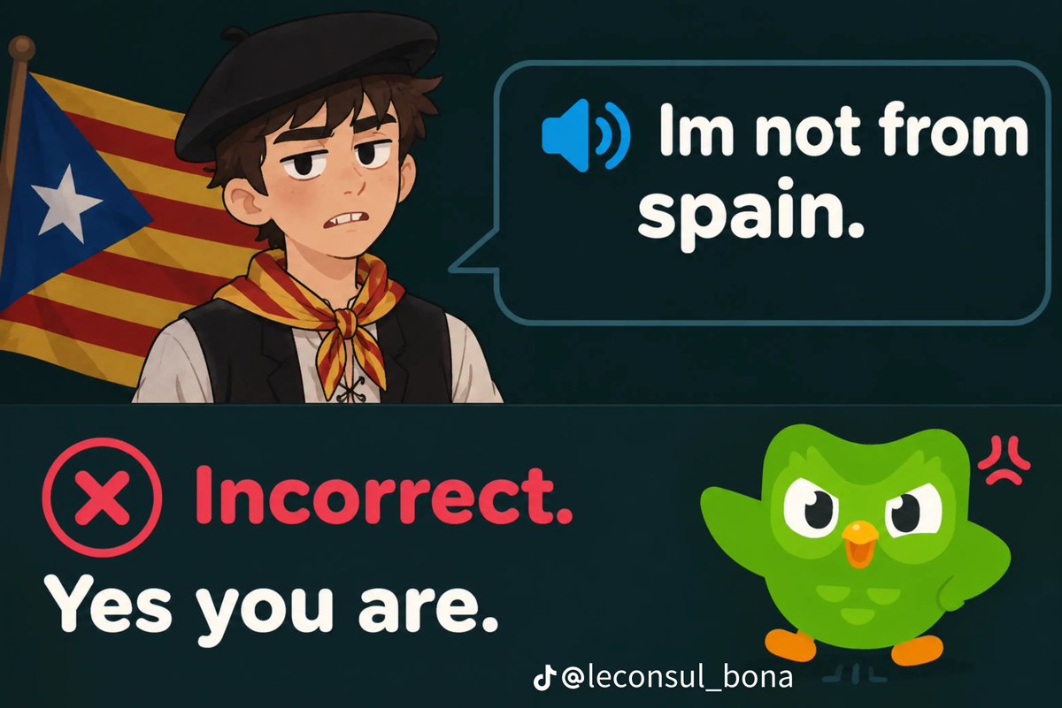 Himmlrr_'s tweet photo. @grok duolingo era anti marroquí, anti catalan y anti euskera? https://t.co/ShxSerF52P