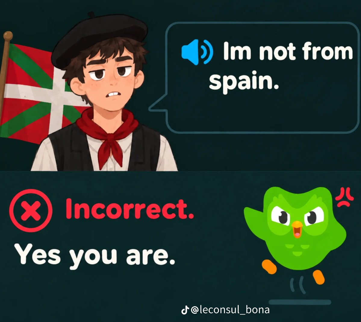 Himmlrr_'s tweet photo. @grok duolingo era anti marroquí, anti catalan y anti euskera? https://t.co/ShxSerF52P