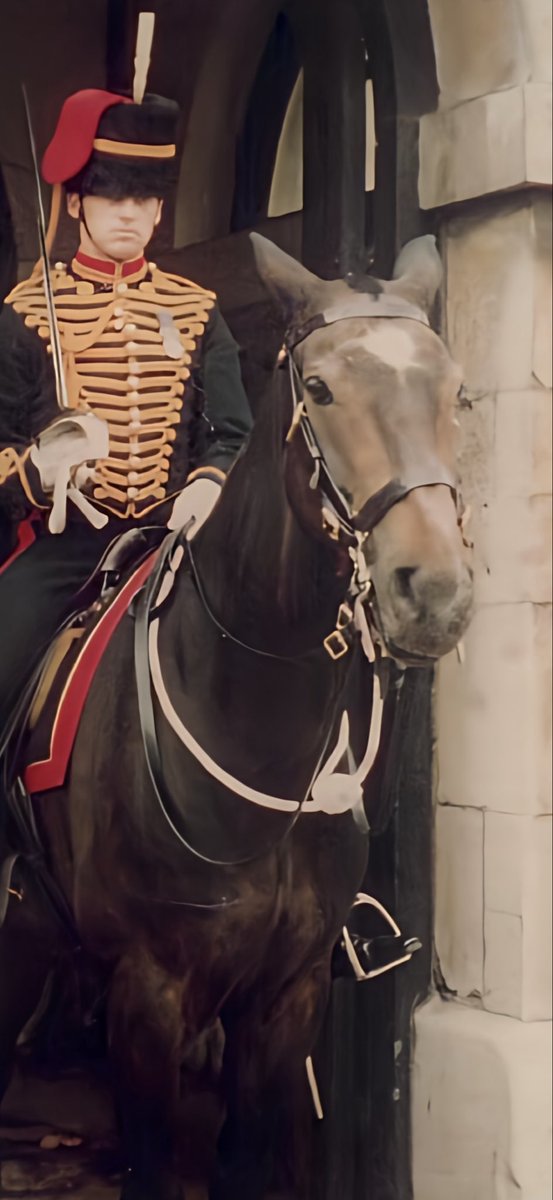 Johno5195's tweet photo. The Gunner below, left, is from one of my former regiments @KingsTroopRHA &amp; currently an internet hit serving on public duties.

Right, me, newly returned from an operational tour, &amp; posted, to Her Majesty’s Horse Guards. I barely had time to breathe. Weapons, then horses!! 🫡 https://t.co/JHjJVsjvva