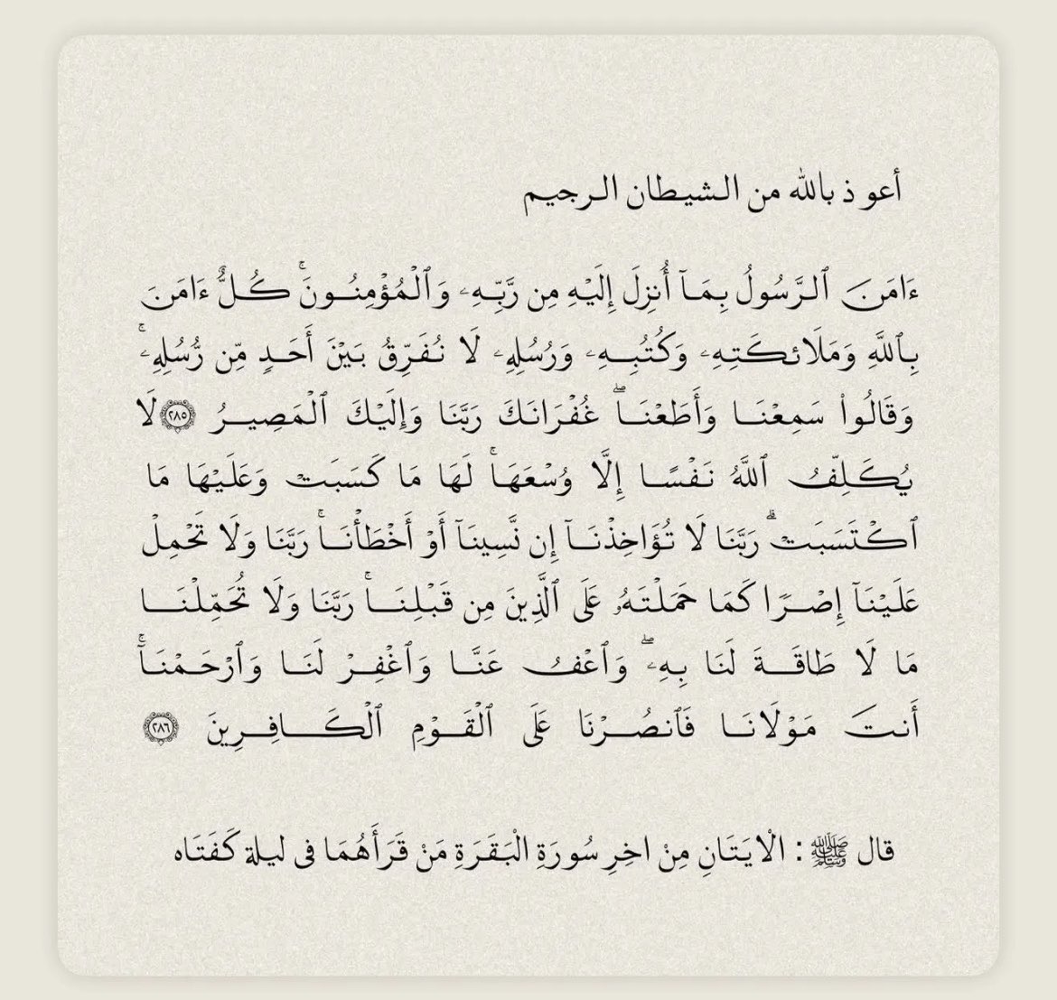 aii_lli's tweet photo. https://t.co/wnLydC9J2l
