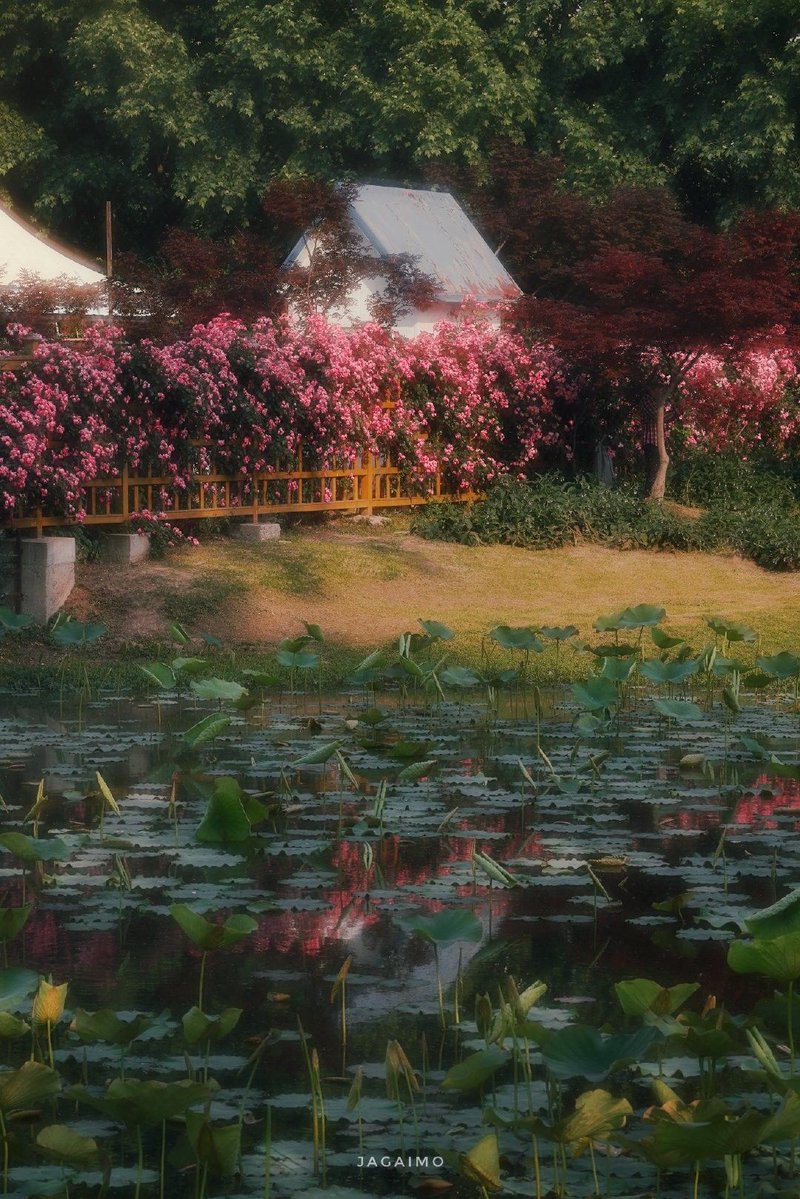 aestheticpost's tweet photo. https://t.co/0vJCWeAJxJ